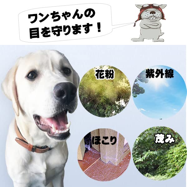 Amazon | ◇◇小型犬用ゴーグル（チワワ、トイプードル等）◇◇紫外線